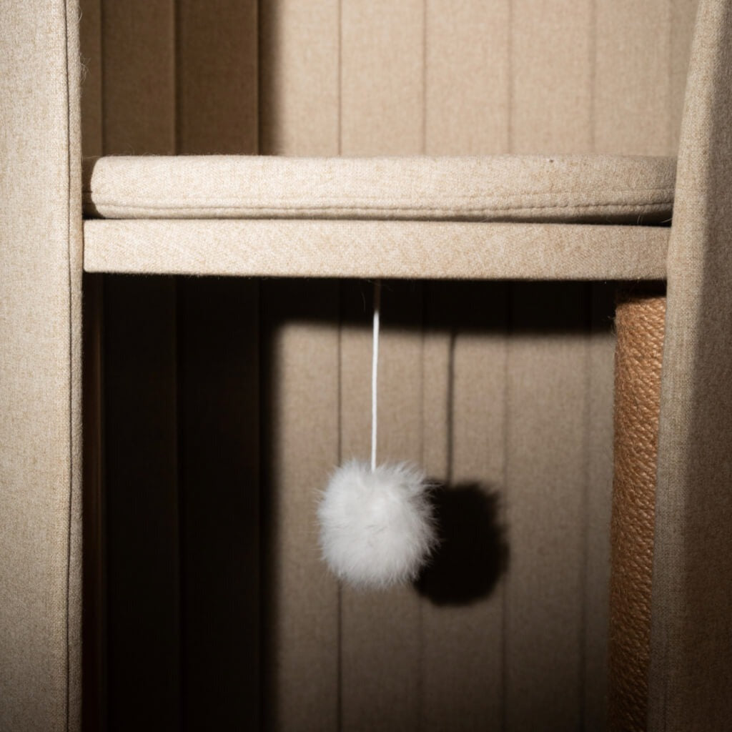 The Ultimate Cat Haven