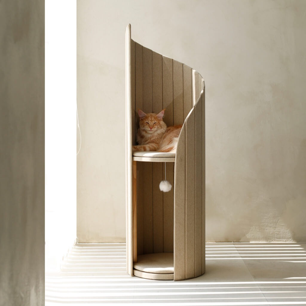 The Ultimate Cat Haven