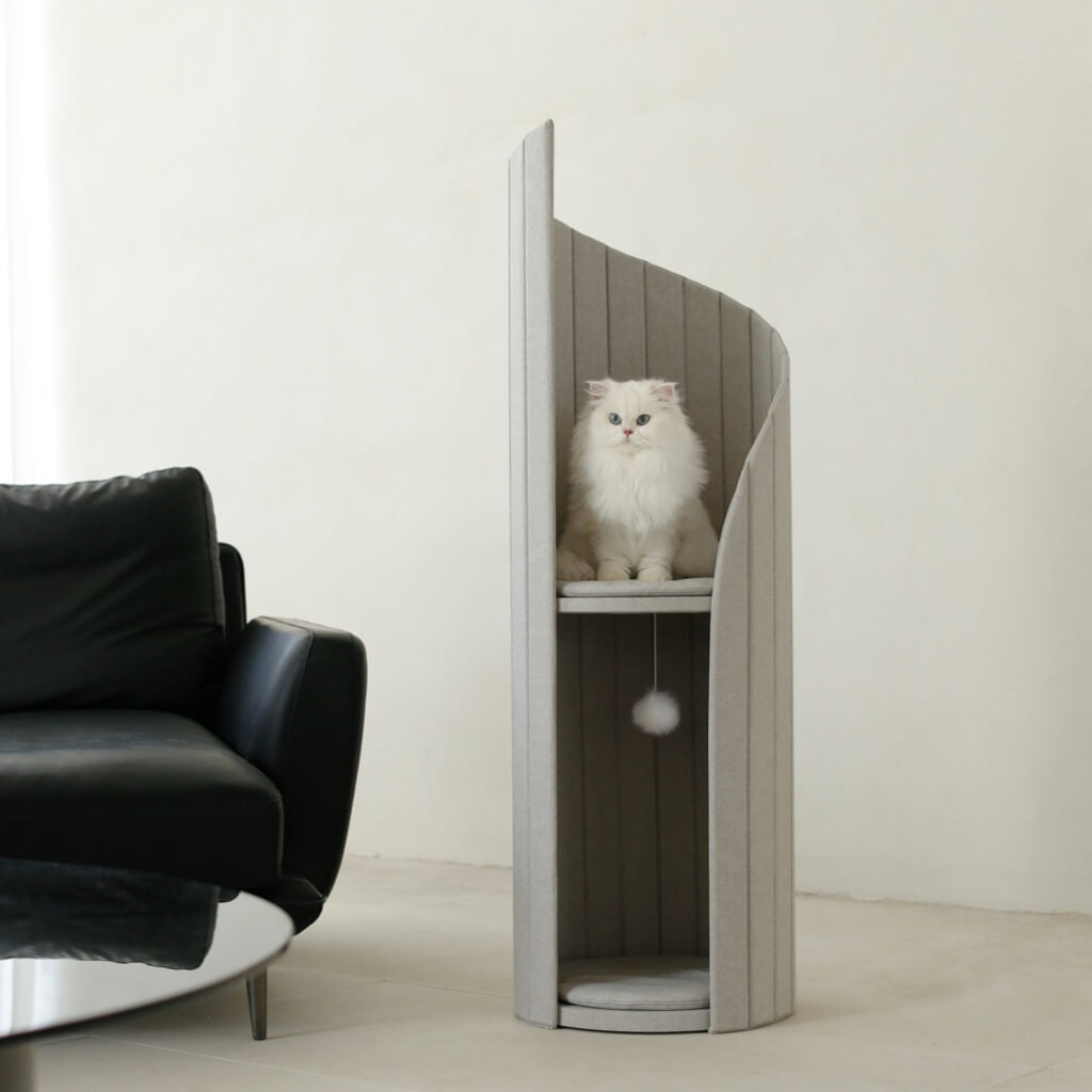 The Ultimate Cat Haven